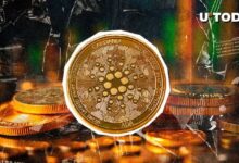 Cardano (ADA): ¿Una Sombra de su Antigua Gloria? Analista Revela Insights Clave - Cripto Boom