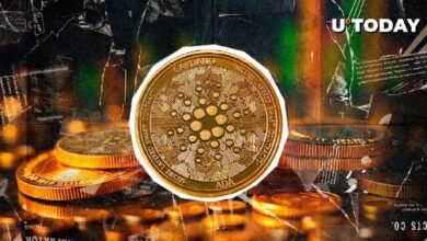 Cardano (ADA): ¿Una Sombra de su Antigua Gloria? Analista Revela Insights Clave - Cripto Boom