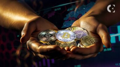 Analista Califica el Mercado Cripto como una "Cámara de Eco": Descubre Por Qué - Cripto Boom