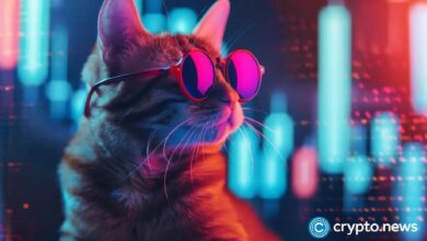 ¡MEW alcanza un nuevo máximo histórico tras su inclusión en Bitstamp! - Cripto Boom