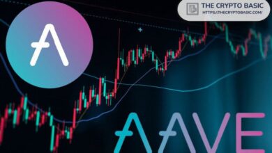 Rally de Inversión de AAVE Apunta a $200: Ballena Acumula 47,991 Tokens, ¡Descubre Más! - Cripto Boom