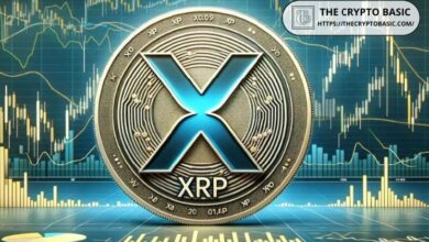 Experto Revela el Momento Preciso en que XRP Alcanzará los $3: ¡Descúbrelo! - Cripto Boom