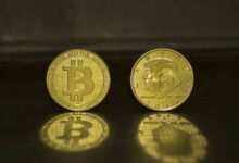 ¿El precio de Bitcoin sigue las apuestas de Trump? Descúbrelo aquí - Cripto Boom
