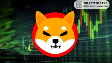 Experto dice que la línea de tendencia de soporte de Shiba Inu indica un enorme repunte; ¡Prepárate para el rompimiento! - Cripto Boom
