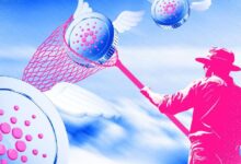 Precio de Cardano (ADA) Podría Aumentar un 19% si Esto Ocurre: ¡Descubre Más! - Cripto Boom