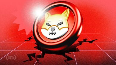 Ballenas de Shiba Inu (SHIB) se Preparan para un Potencial Aumento del 30% ante la Debilitación de Tendencias ¡Descubre Más! - Cripto Boom