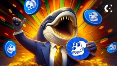¡Precio de ApeCoin se Dispara un 40% con el Lanzamiento de ApeChain en la Capa 3! - Cripto Boom