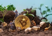 ¡La Tasa de Financiación de Bitcoin Alcanza su Nivel Más Alto en Meses! Descubre Qué Esperar - Cripto Boom