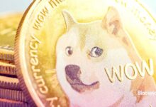 Ámalas u ódialas, las memecoins están ganando de cualquier manera - Descubre por qué deberías prestar atención - Cripto Boom