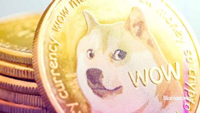 Ámalas u ódialas, las memecoins están ganando de cualquier manera - Descubre por qué deberías prestar atención - Cripto Boom