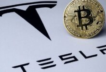 Tesla de Elon Musk Movió $776 Millones en Bitcoin, Pero Aún Controla las Carteras: Descubre Más con Arkham - Cripto Boom