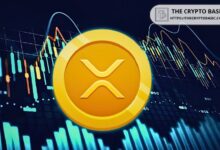 Investigador Blockchain Revela por Qué el Precio de XRP No Importa: ¡Descúbrelo! - Cripto Boom