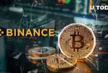 Retiro de Bitcoin (BTC) de $96 Millones Sorprende a Cripto Intercambio Binance: Descubre los Detalles - Cripto Boom