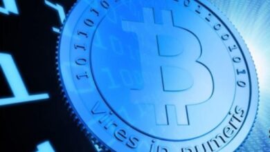 Las 5 Principales Criptomonedas Blue Chip para Invertir en Octubre: Asegura tu Estabilidad - Cripto Boom