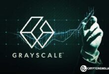 Grayscale Evalúa Kaspa para Nuevos Productos de Inversión: ¡Descubre las Oportunidades en su Expansión de Portfolio! - Cripto Boom