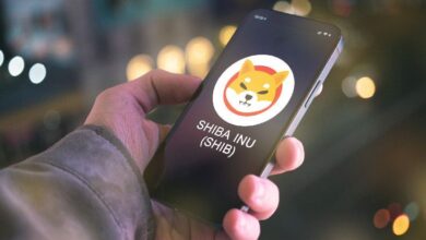 Predicción del precio de Shiba Inu: ¿Podrá SHIB alcanzar una capitalización de mercado de $100 mil millones? ¡Descúbrelo! - Cripto Boom