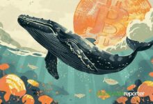 Ballena de Bitcoin Aumenta sus Tenencias en 200 $BTC tras Ganar $181M - Descubre Más - Cripto Boom