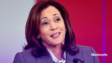 Los comentarios criptográficos de la Vicepresidenta Harris carecen de detalles: ¡Descubre más! - Cripto Boom