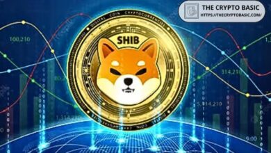 Shiba Inu Agradece a sus Desarrolladores por Convertir SHIB en un Token de Utilidad - Descubre Más - Cripto Boom