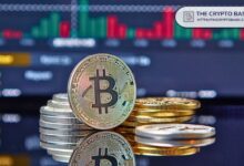 ¡Bitcoin Gana 297 Nuevas Ballenas en Dos Semanas: Descubre el Nuevo Máximo Histórico de Participaciones! - Cripto Boom