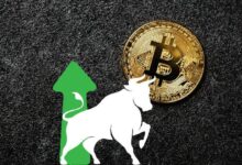 Nuevos inversores: el impulso que Bitcoin necesita para su próximo gran auge - Cripto Boom