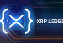 Principal DEX de XRPL Repele Ataque DDoS: ¡Descubre los Detalles! - Cripto Boom
