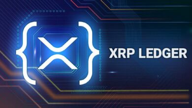 Principal DEX de XRPL Repele Ataque DDoS: ¡Descubre los Detalles! - Cripto Boom