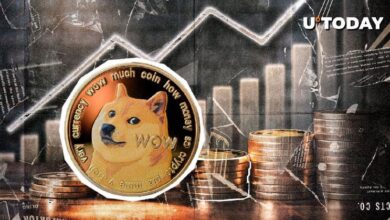 Hito Enorme de Dogecoin (DOGE): Rentabilidad Alcanza el 80% ¡Descubre Más! - Cripto Boom