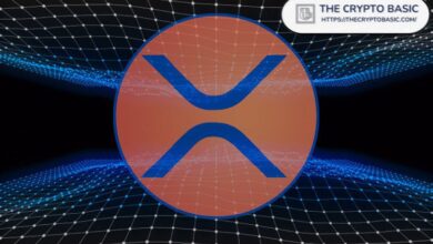 Descubre el Top DEX de XRPL: Lanza Memepad para Iniciar Meme Coins en la Red XRP, ¡Ya 70 Lanzamientos! - Cripto Boom