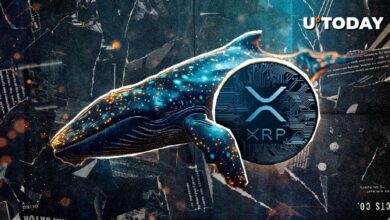 Nuevo Megaballena de XRP Surge con Transferencia de 104 Millones de XRP: ¡Descubre Más! - Cripto Boom