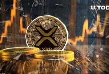 ¿Qué pasa con XRP? Precio de $0.55 Rechazado - Descubre los detalles - Cripto Boom