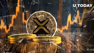 ¿Qué pasa con XRP? Precio de $0.55 Rechazado - Descubre los detalles - Cripto Boom