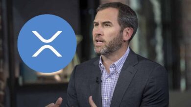 ¡El CEO de Ripple Evalúa la Carrera Trump-Harris! Descubre la Probabilidad de Aprobación para los ETFs de XRP! - Cripto Boom