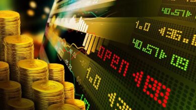 Oficial de Inversiones de una Empresa Gigante: "Bitcoin Se Disparará Tras las Elecciones en EE. UU., Pero las Altcoins..." ¡Descubre Más! - Cripto Boom