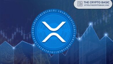 XRP Apunta a $9.3, $16 y $26 Según Desviación Estándar: Descubre el Análisis Clave - Cripto Boom