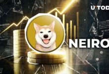 ¡El Rival de Shiba Inu, Neiro, Gana un Asombroso 4,869%! Descubre el Impactante Rally de Precios - Cripto Boom