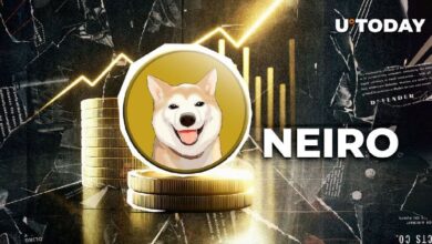 ¡El Rival de Shiba Inu, Neiro, Gana un Asombroso 4,869%! Descubre el Impactante Rally de Precios - Cripto Boom
