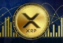 XRP Cae a $0.51: Descubre Cómo el Caso Ripple-SEC Impulsa la Volatilidad - Cripto Boom