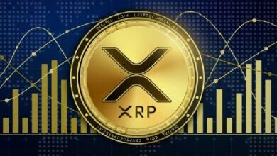 XRP Cae a $0.51: Descubre Cómo el Caso Ripple-SEC Impulsa la Volatilidad - Cripto Boom