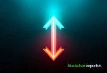 El Crecimiento de Starknet: Aumento en la Actividad de Desarrolladores y Descargas de Paquetes - Descubre Más - Cripto Boom