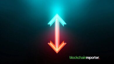 El Crecimiento de Starknet: Aumento en la Actividad de Desarrolladores y Descargas de Paquetes - Descubre Más - Cripto Boom