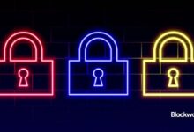 Expertos en políticas sobre privacidad: Destacados del Congreso en DC - ¡Descubre más! - Cripto Boom