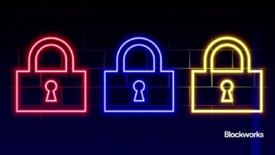 Expertos en políticas sobre privacidad: Destacados del Congreso en DC - ¡Descubre más! - Cripto Boom