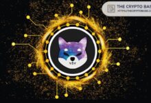 ¡El Capital de Mercado de Shiba Inu Aumenta un 43%! ¡Recupera $11 Mil Millones tras la Caída de Septiembre! - Cripto Boom