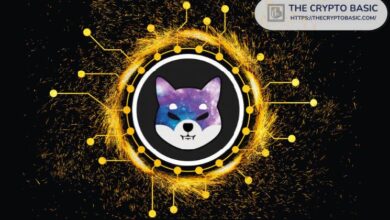 ¡El Capital de Mercado de Shiba Inu Aumenta un 43%! ¡Recupera $11 Mil Millones tras la Caída de Septiembre! - Cripto Boom