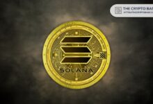 Analista Afirma que Solana es "la Ficha de Apuestas del Casino de IA" mientras Aumenta la Actividad de Direcciones: ¡Descubre Más! - Cripto Boom