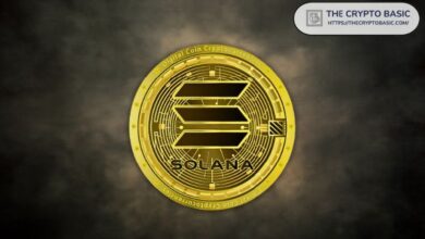 Analista Afirma que Solana es "la Ficha de Apuestas del Casino de IA" mientras Aumenta la Actividad de Direcciones: ¡Descubre Más! - Cripto Boom