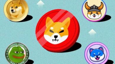 Descubre Cinco Memecoins en Auge en la Red Sui: No te lo Pierdas - Cripto Boom