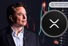 Elon Musk Menciona XRP por Primera Vez: Descubre el Impacto - Cripto Boom