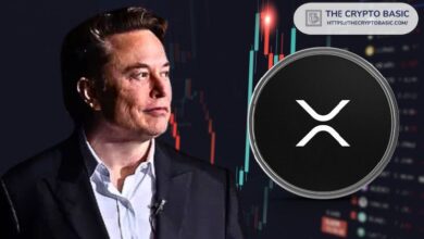 Elon Musk Menciona XRP por Primera Vez: Descubre el Impacto - Cripto Boom